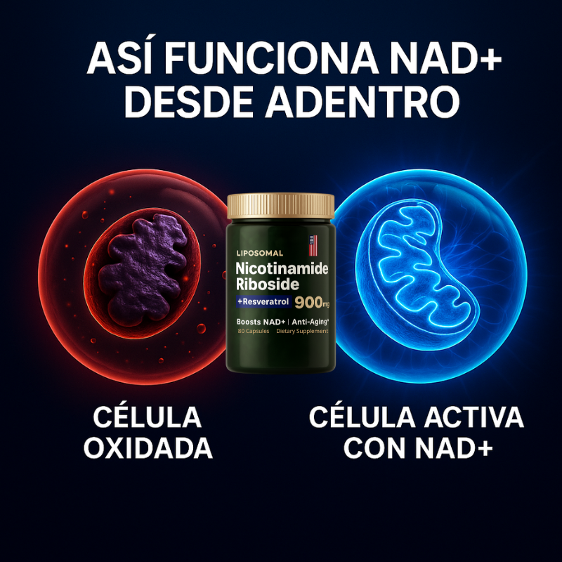 Liposomal NAD + Resveratrol: Nicotinamida Adenina Dinucleótido Formula Americana