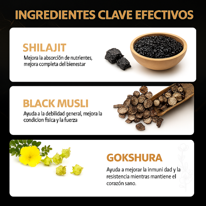 Be Bodywise™: Gomitas de Shilajit 3000 mg +KSM-66® Ashwagandha+ Black Musli, 60Pcs sin Azucar