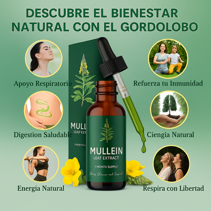 Mullein Gotas™: Limpieza Pulmonar & Hepática Natural